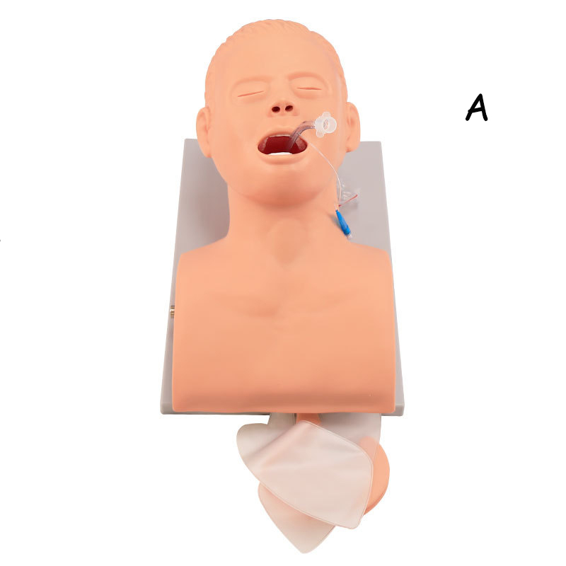 PVC Adult Intubation Manikin T - Medical Lab Management ulasan dan harga