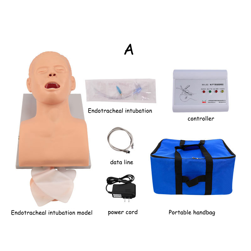 PVC Adult Intubation Manikin T - Medical Lab Management ulasan dan harga