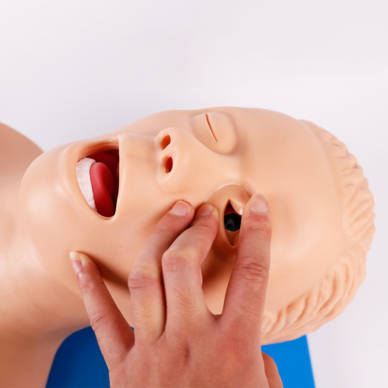 PVC Adult Intubation Manikin T - Medical Lab Management ulasan dan harga