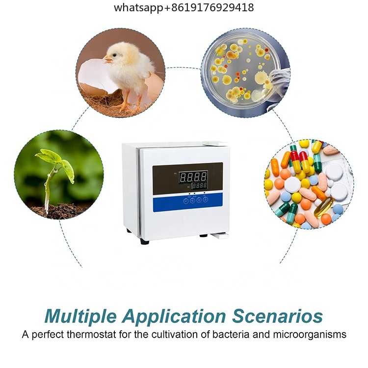 Laboratory 2L Mini Thermostat  - Lab Incubator ulasan dan harga