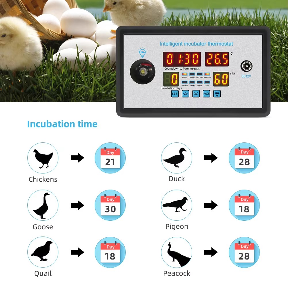 ZFX-W9002 12V/220V Egg Incubat - Lab Incubator ulasan dan harga