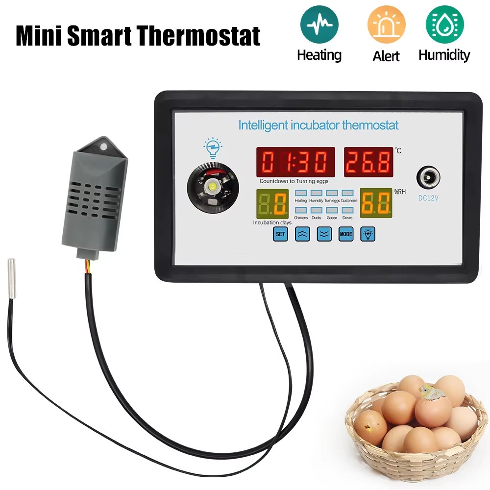 ZFX-W9002 12V/220V Egg Incubat - Lab Incubator ulasan dan harga