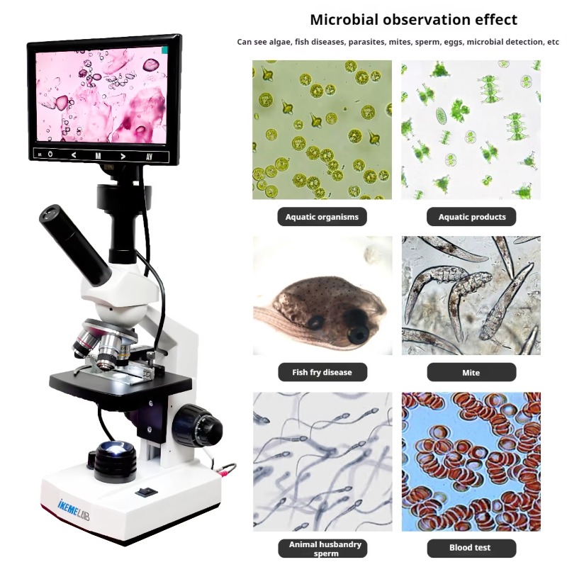 HD Screen Digital Microscope B - Medical Lab Microscope ulasan dan harga