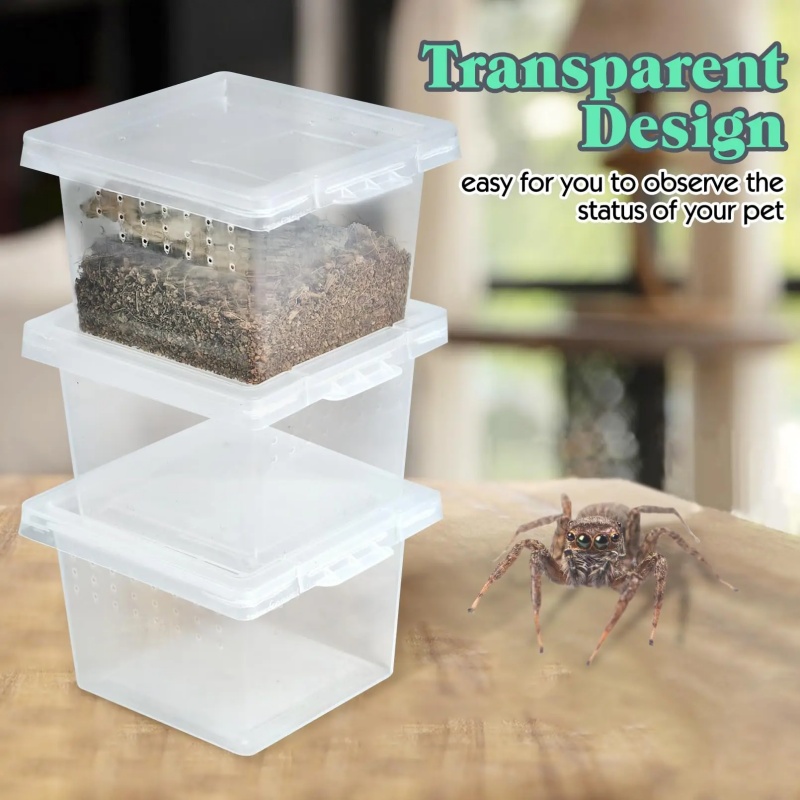 10 Feeding Box Reptile Cages I - Lab Incubator ulasan dan harga