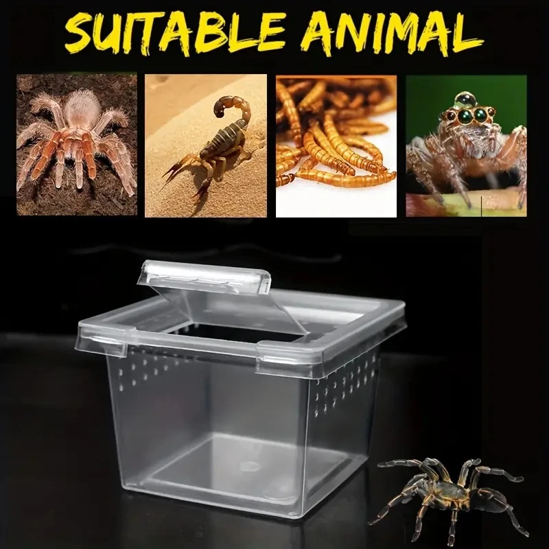 10 Feeding Box Reptile Cages I - Lab Incubator ulasan dan harga