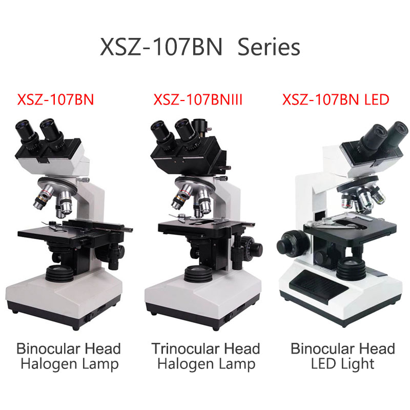 Xsz-107bn Electron Laboratory  - Medical Lab Microscope ulasan dan harga