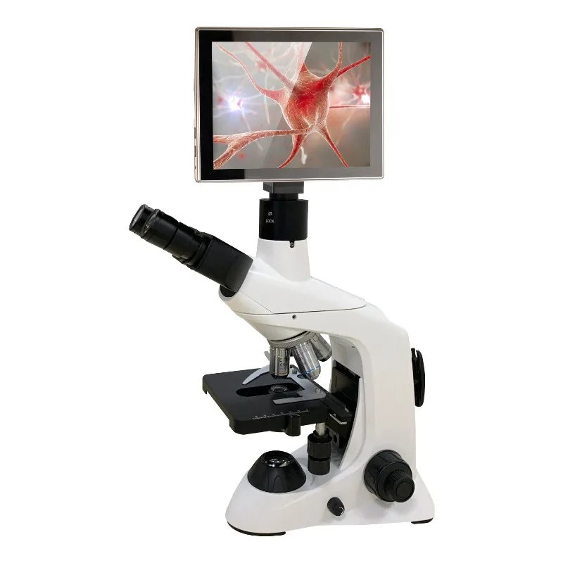 2026 New Stainless Steel Medic - Medical Lab Microscope ulasan dan harga