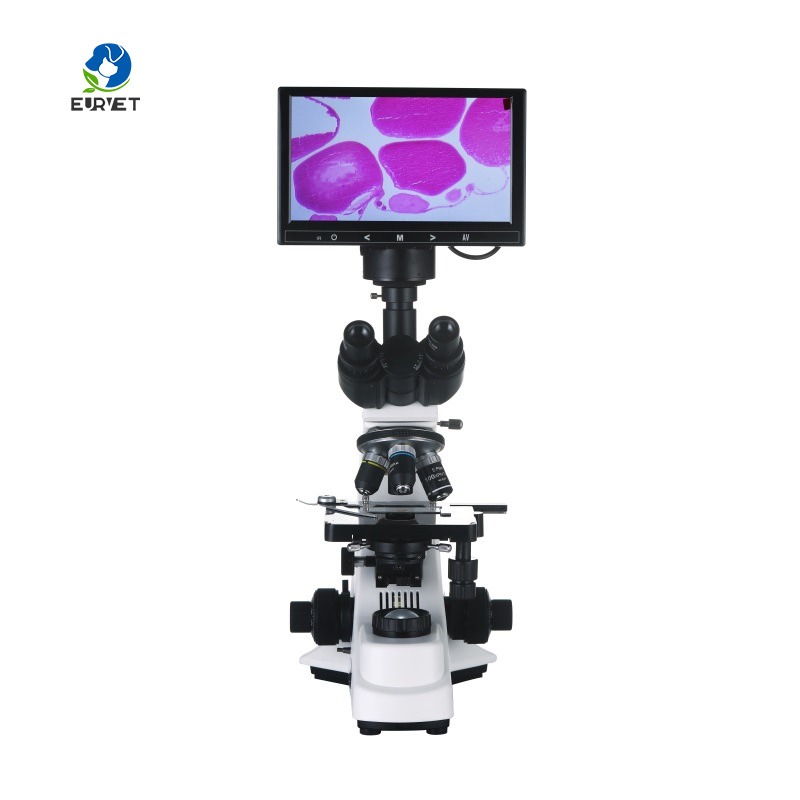 2026 Medical Lab Digital Biolo - Medical Lab Microscope ulasan dan harga