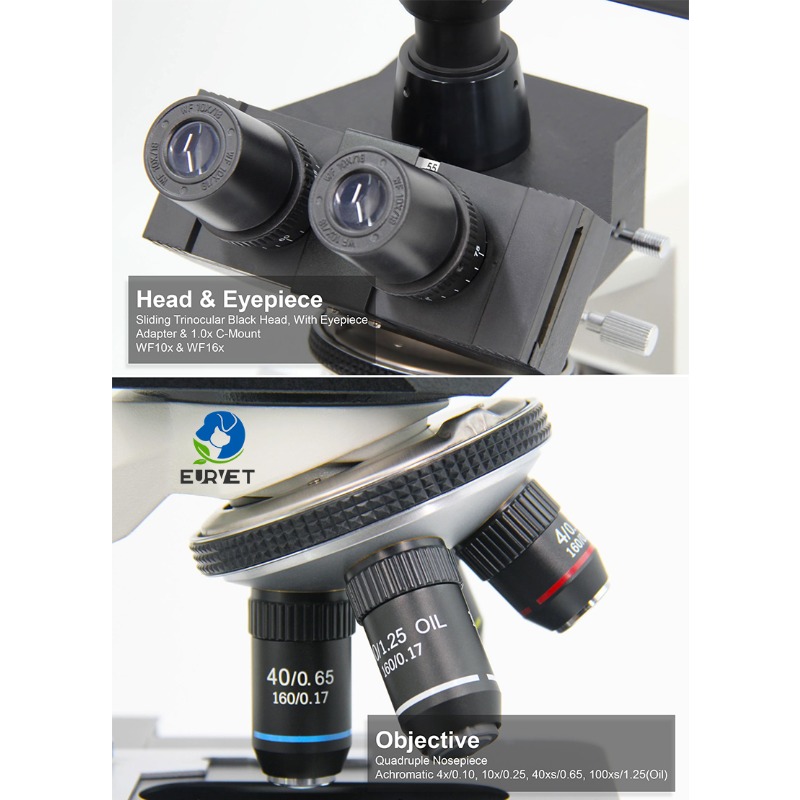 2026 Medical Lab Digital Biolo - Medical Lab Microscope ulasan dan harga