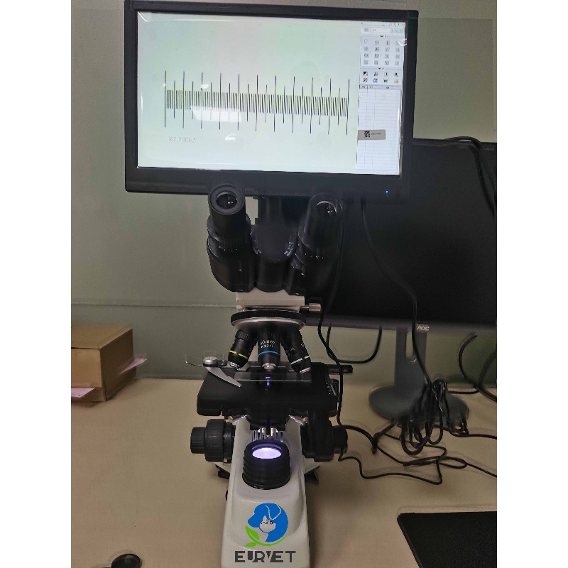 2026 Medical Lab Digital Biolo - Medical Lab Microscope ulasan dan harga