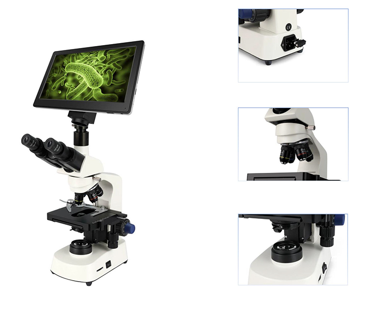 HC-B079A Cheap Microscope Elec - Medical Lab Microscope ulasan dan harga